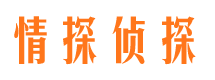 江川市私家侦探